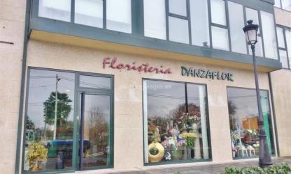 danzaflor